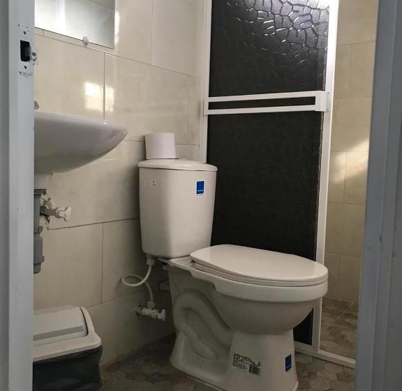 标准单人间, Maxim