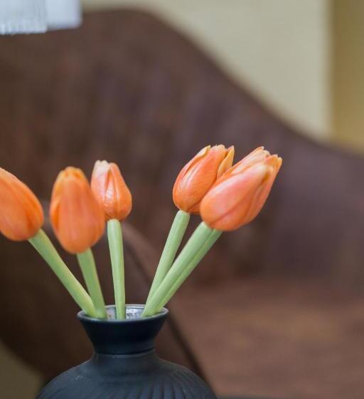 Номер Deluxe с Балконом, къща за гости зоя