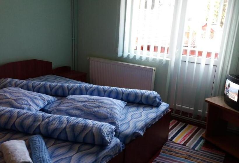 Номер Deluxe с Балконом, Casa Andreea Maria