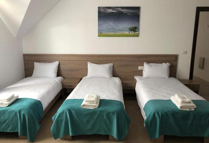 标准三人间, Pensiunea Gamas