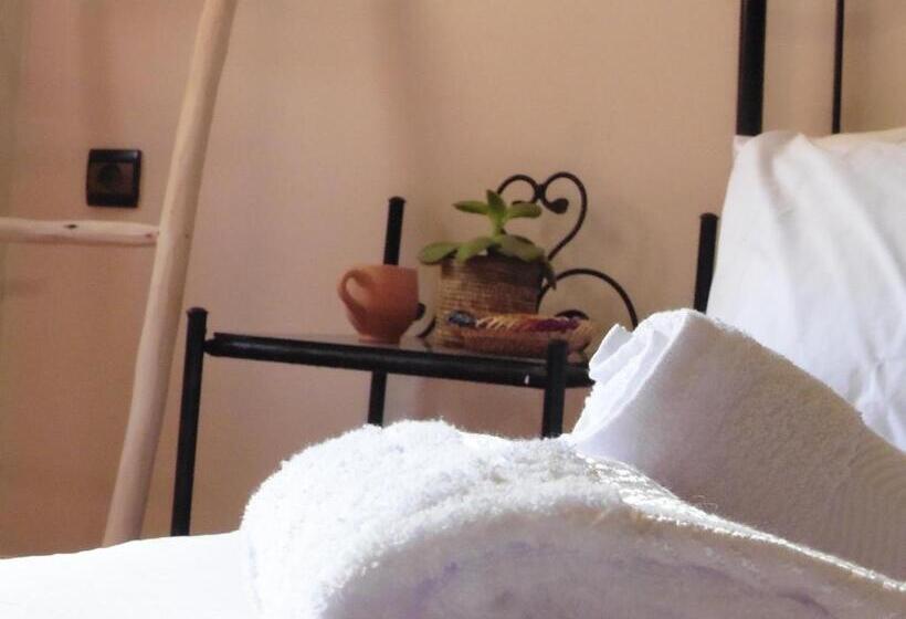 اتاق اکونومی, Olympe Surf & Yoga