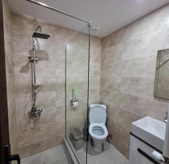 اتاق لوکس, Alongside Park Borjomi