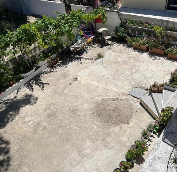 패밀리 스튜디오, Guesthouse Vlore