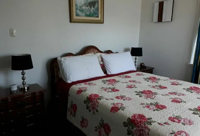 اتاق استاندارد با سرویس بهداشتی مشترک, Airport Silver Fern Accommodation