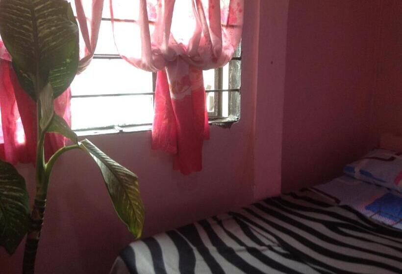 Habitació Economy, Cvnb Bed & Bath   Hostel