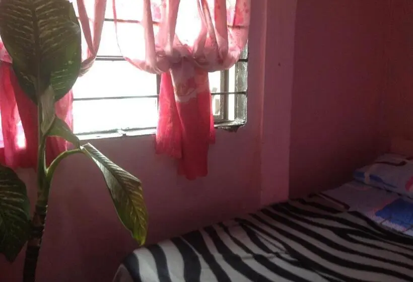 Economy-huone, Cvnb Bed & Bath   Hostel