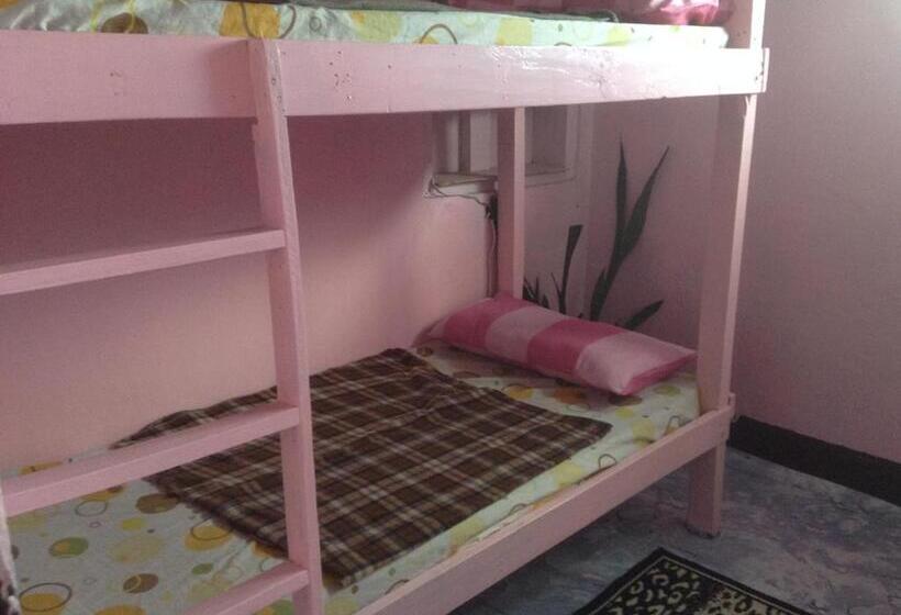 Habitació Estàndard, Cvnb Bed & Bath   Hostel