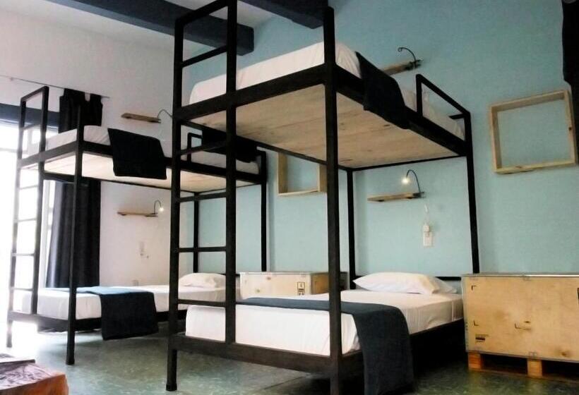 تختخواب در اتاق مشترک, Blue Bicycle House