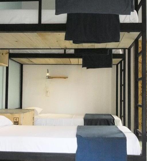 تختخواب در اتاق مشترک, Blue Bicycle House