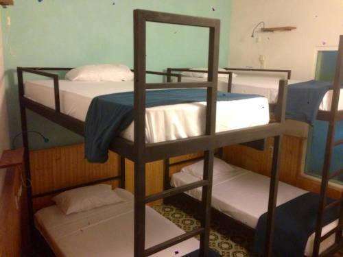 تختخواب در اتاق مشترک, Blue Bicycle House