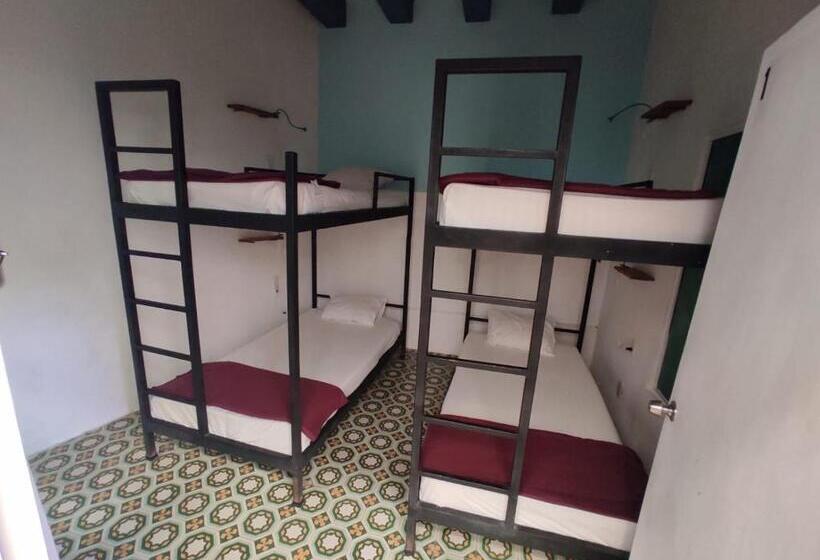 تختخواب در اتاق مشترک, Blue Bicycle House