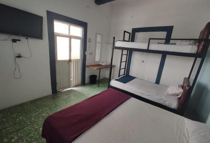 اتاق استاندارد با سرویس بهداشتی مشترک, Blue Bicycle House