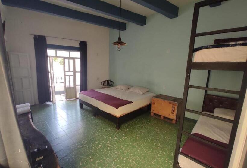 سوییت جونیور با بالکن, Blue Bicycle House