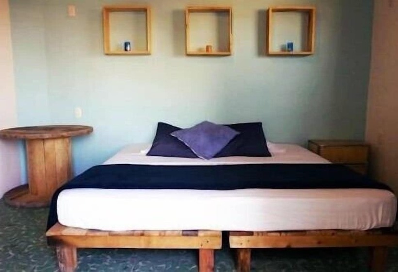 اتاق استاندارد با سرویس بهداشتی مشترک, Blue Bicycle House