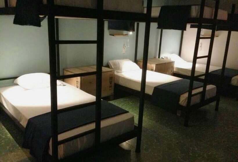 تختخواب در اتاق مشترک, Blue Bicycle House