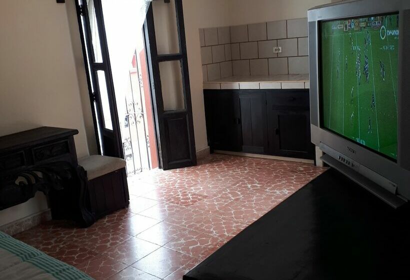 스탠다드 룸, Animas 16