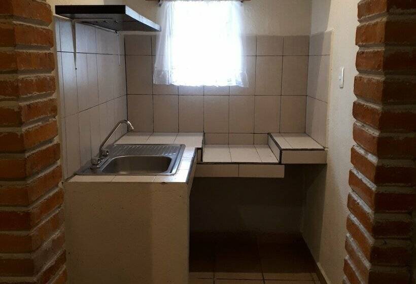 스탠다드 룸, Animas 16