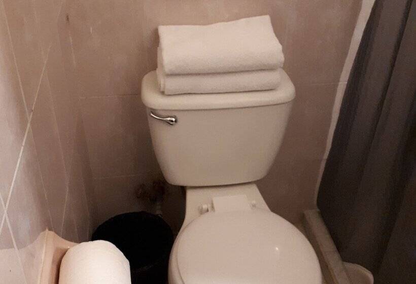 스탠다드 룸, Animas 16