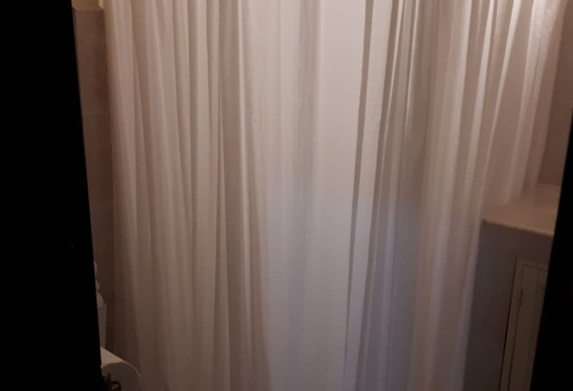 스탠다드 룸, Animas 16