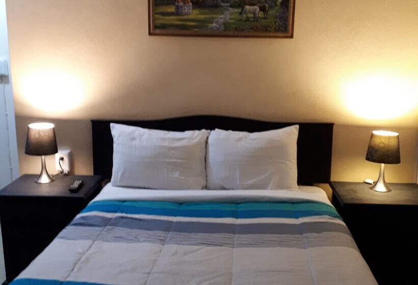 스탠다드 룸, Animas 16