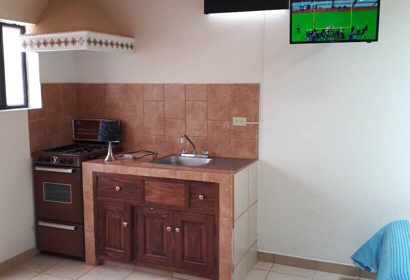 패밀리 룸, Animas 16