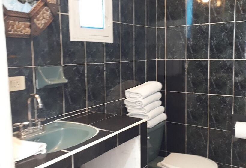 패밀리 룸, Animas 16