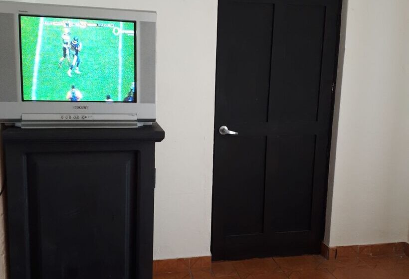 패밀리 룸, Animas 16