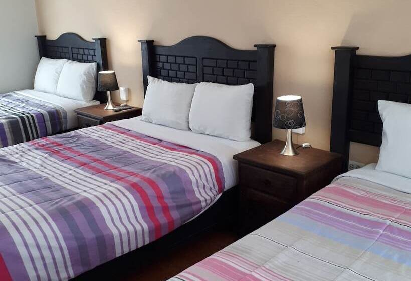 패밀리 룸, Animas 16