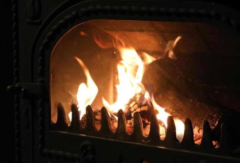 بنجلو سوبيريور, Eva Bungalov