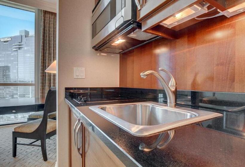 إستديو قياسى مطل على حمام السباحة, The Fantasy Suite Mgm Signature Pool View