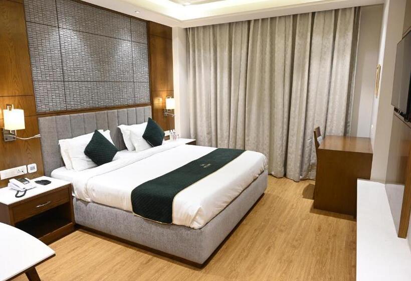 豪华工作室, Rama Continental