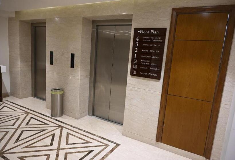 豪华工作室, Rama Continental