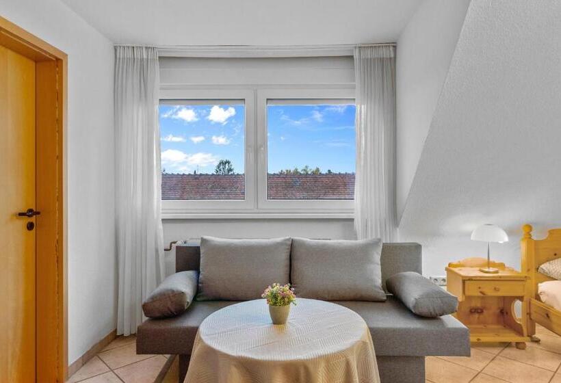 חדר סופריור לארבעה, Family And Friends Ludwigshafen