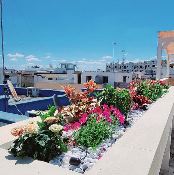 高级家庭房间, Aquamarina Rooms