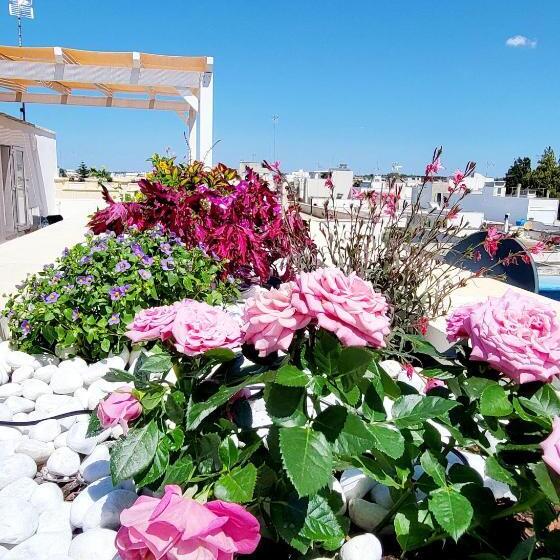 Семейный Номер Superior, Aquamarina Rooms