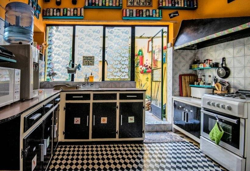 اتاق راحتی سه تخته, Five Trees