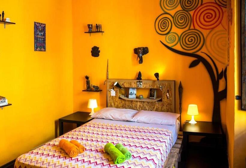 اتاق استاندارد یک نفره, Five Trees