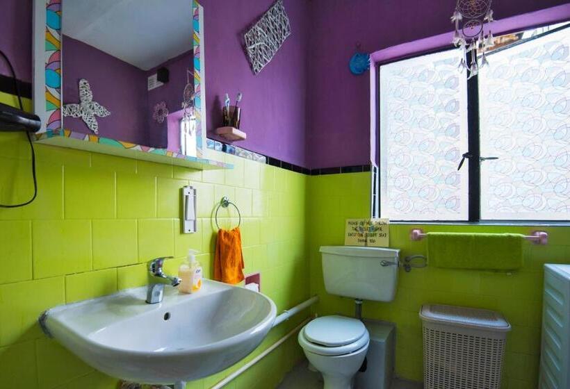 اتاق استاندارد یک نفره, Five Trees