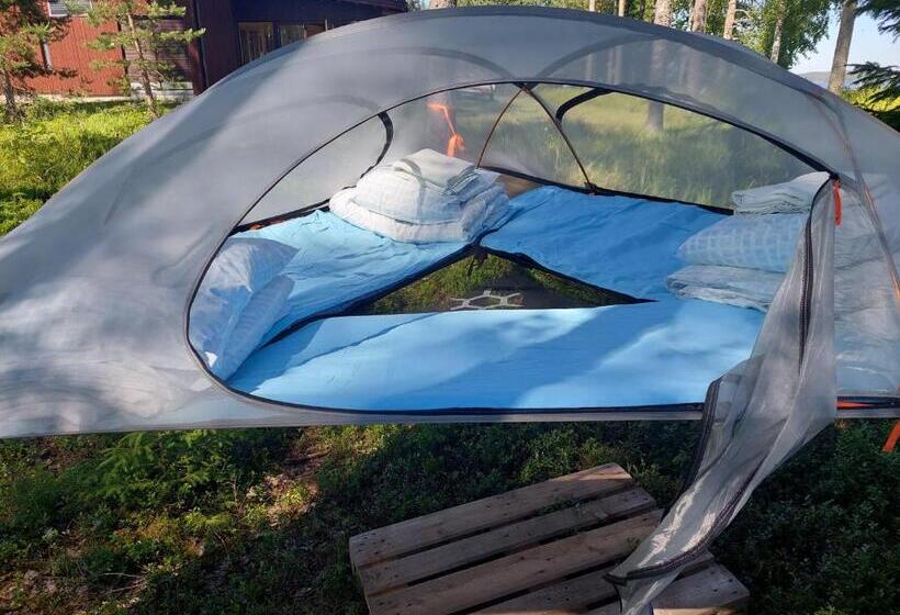 Standard Tent, Honkiniemi