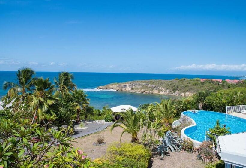 اتاق استاندارد, Amaudo