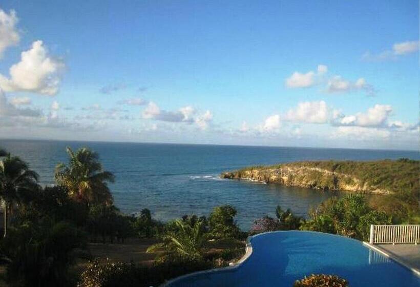 اتاق استاندارد, Amaudo