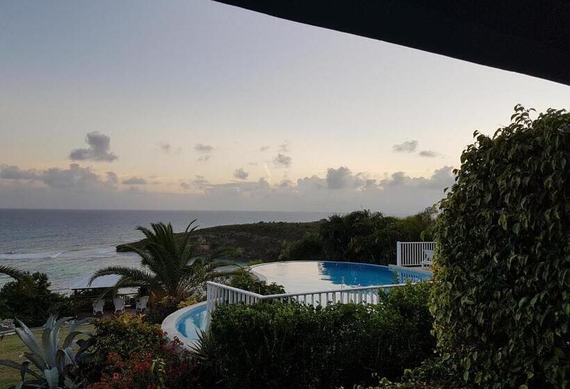 اتاق استاندارد, Amaudo