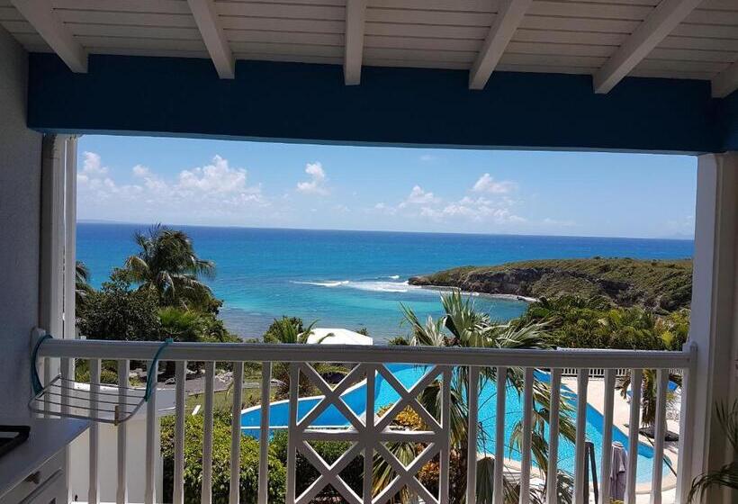 اتاق استاندارد, Amaudo