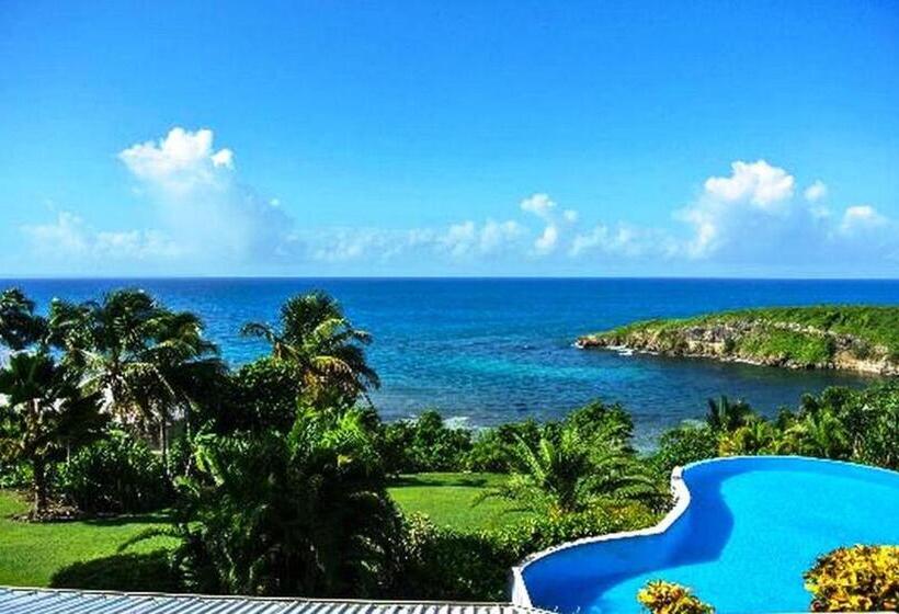 اتاق سوپریور, Amaudo