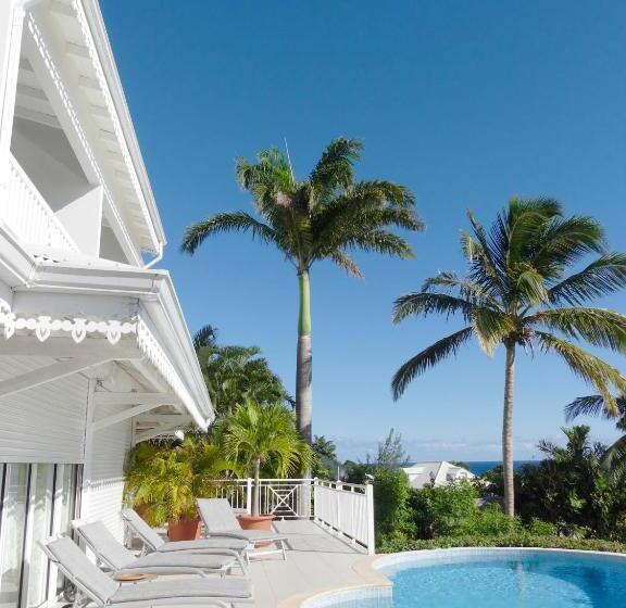 اتاق لوکس, Amaudo