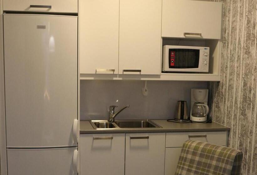 דירת חדר, Li Kunnonlähde Kankaanpää