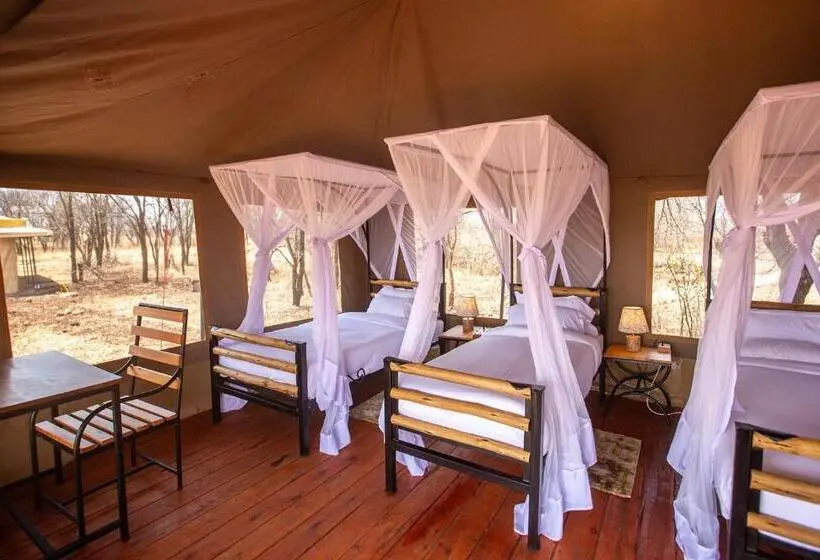اتاق استاندارد با بالکن, House Of Nature Serengeti