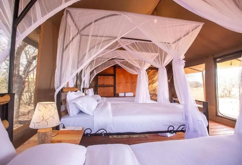 اتاق استاندارد با بالکن, House Of Nature Serengeti