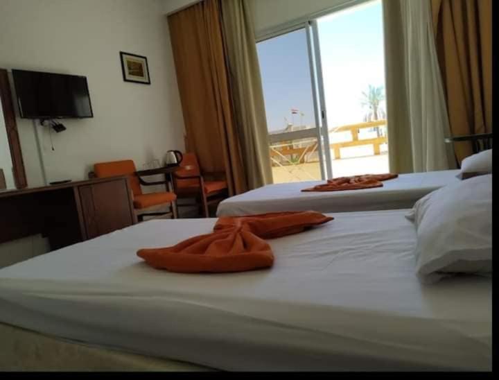 غرفة قياسية, Sharm Club