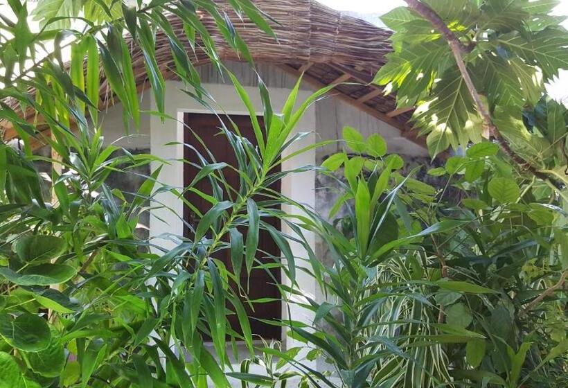 اتاق لوکس, Maafushi View